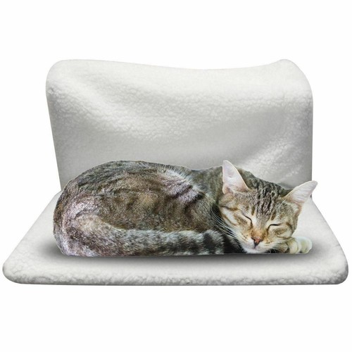 Cat dog radiator - cat,