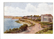 AR Quinton Falmouth Cliff