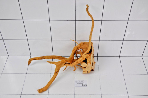 Premium aquarium natural wood - premium,