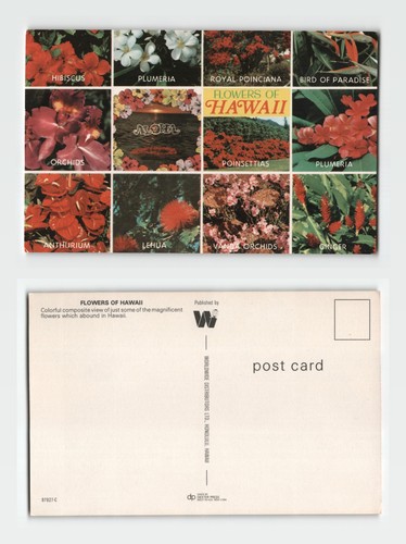 Postcard flowers of hawaii - -,