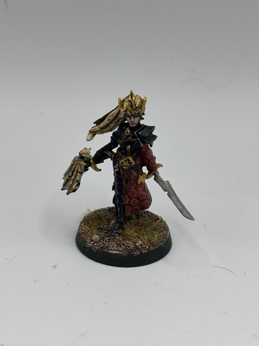 Drukhari archon converted - drukhari,