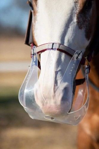 Thinline flexible filly - thinline,