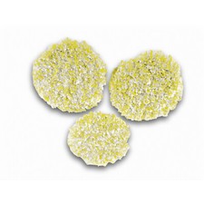 KARCHER FP303 POLISHING PADS -