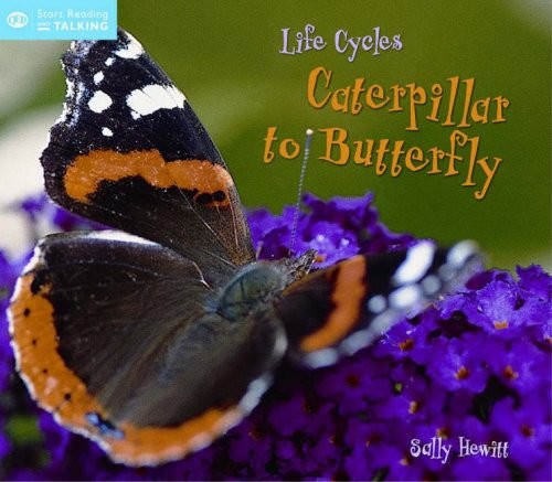 Life cycles from - life, caterpillar