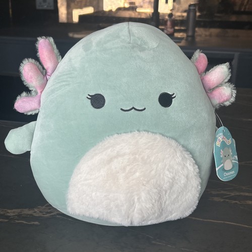 Squishmallow chasmen the - squishmallow, 12"
