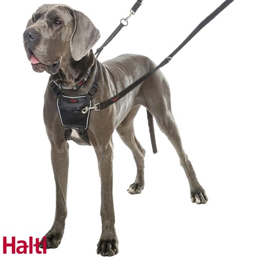 Halti pull dog harness - no,