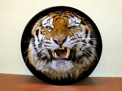 Tiger spare wheel - wheel, jeep