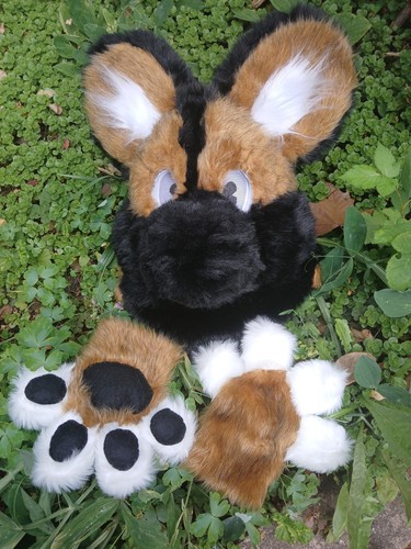 Painted wild dog - wild, fursuit