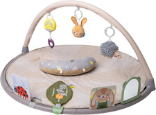 Tummy Time Activity Gym –