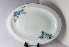 JAJ Pyrex: Oval Platter/
