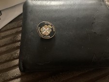 luton town pin badge