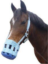 Grazing Muzzle Horse Pony