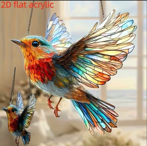 Red robin flying - robin,