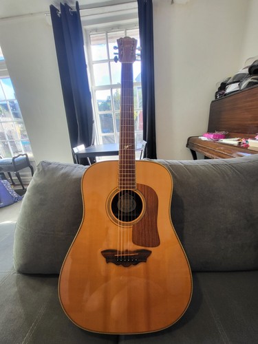 Washburn d33s - washburn,