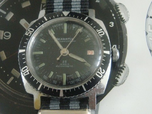 Seawatch skin diver diving