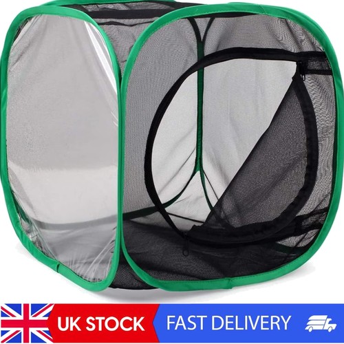 Rearing insect habitat - habitat, for