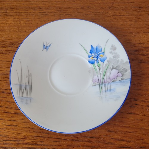 Shelley 2111 blue iris a - in,