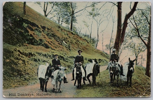 Malvern worcestershire hill - worcestershire,