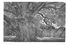 Wood Engraving SUE SCULLARD