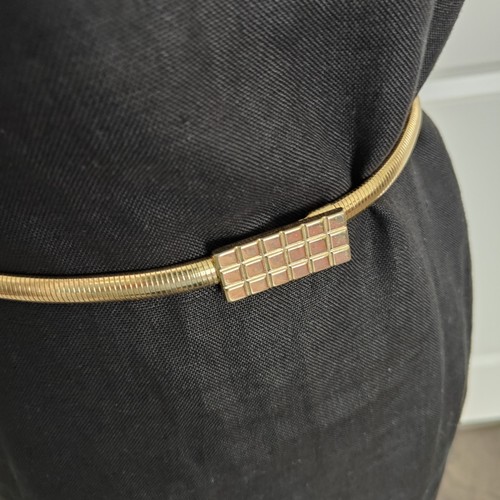 Vintage belt coil snake - snake, chain