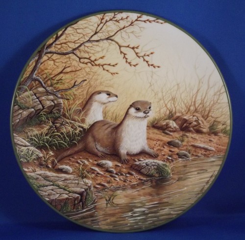 Rollinson potraits nature - rollinson's,