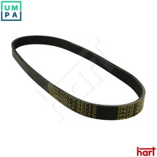 VRIBBED BELT 368 893 FOR