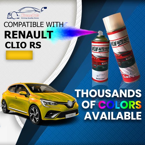 Renault clio 200 - renault, raider