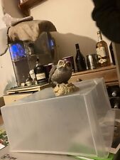 Vintage Porcelain Aynsley