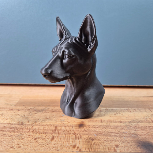 Basenji bust - basenji,