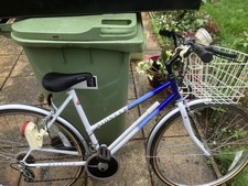 Raleigh Pioneer Classic His