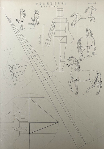 Horse study c1877 - study, –
