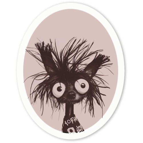 Funny chinese crested dog - crested, dog'