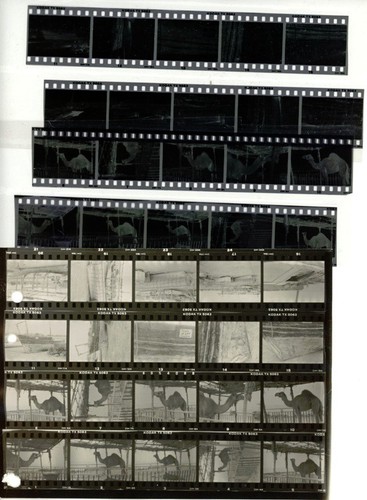 Vintage 35mm - vintage,