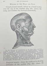 The Art of Massage by A