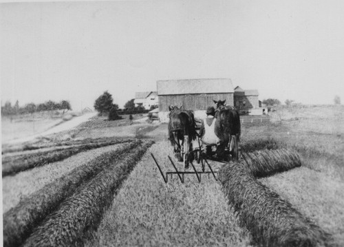 1930s farmer horse drawn - farmer,