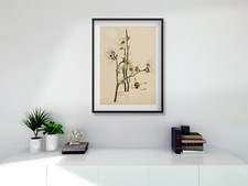 Rennie Mackintosh A3 FRAMED PRINT Witch Hazel digital Black White or Mid Oak