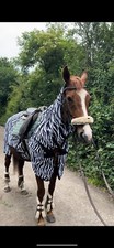 Fly Mesh Zebra Ride On Rug for Horse Pony Lightweight Full Neck Summer Sheet