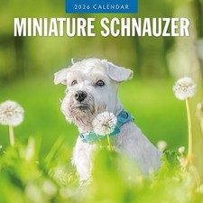 Miniature Schnauzer 2026