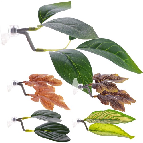 2pcsx ornamental leaf betta - leaf,