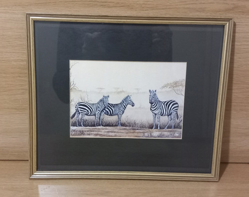 David cubbin african - david,