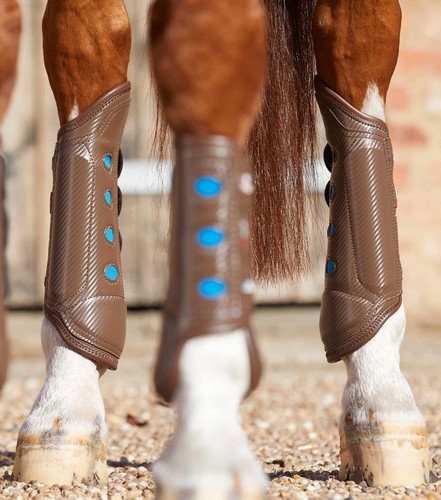 Premier equine carbon - equine, tech