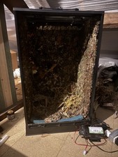 Insitu Alto Dart Frog Vivarium