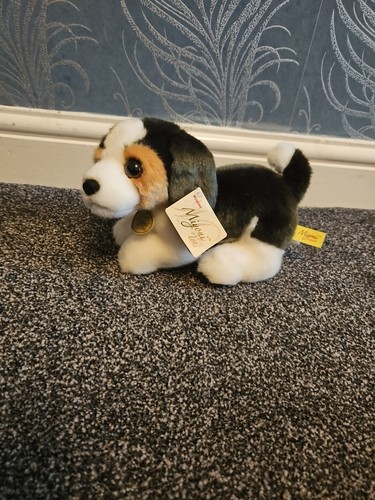 Myoni aurora beagle puppy - aurora,,