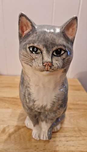 Grey white cat - &,