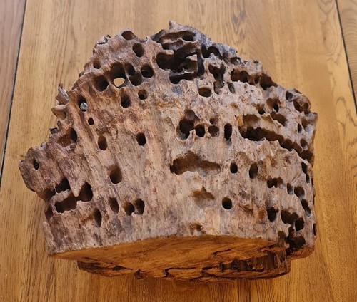 Coral shaped piece - coral-shaped,