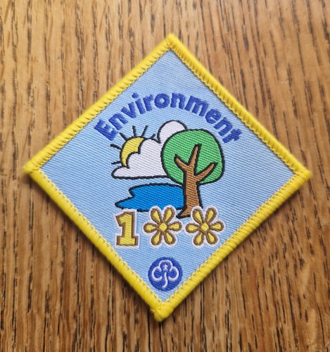 Girlguiding old environment - old,