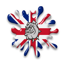 Large British Bulldog Union