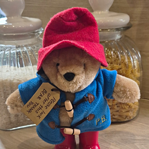 Rainbow designs paddington - designs,
