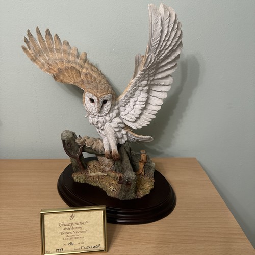 Country artists barn owl - barn,