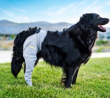 Dogs Anti-licking Protection Sleeve, Dog Surgery Recovery Sleeves Back LegM/L/XL